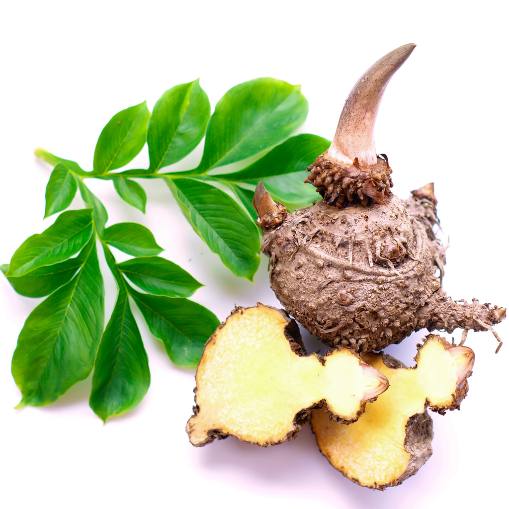 Glucomannan